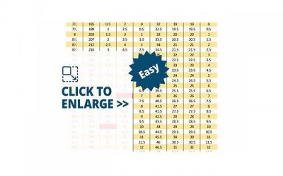 ​林心如合照，43岁林心如与44岁徐若瑄合照秒变网红脸