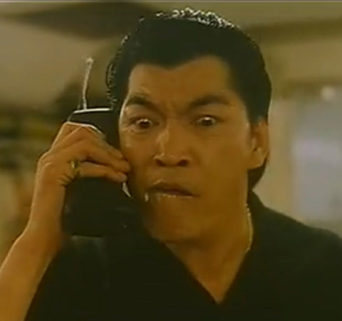 成奎安的儿子是谁