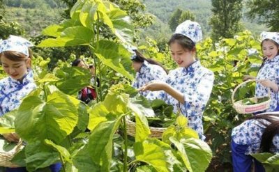 ​古代最早什么时候出现的栽桑养蚕?是东汉时期内蒙古吗?