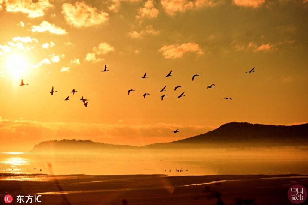 每日纪实精选：重庆一天桥现“空中公厕” 露天如厕不分男女