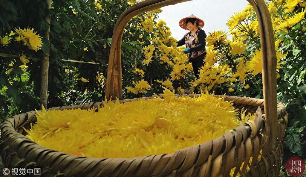 每日纪实精选：重庆一天桥现“空中公厕” 露天如厕不分男女