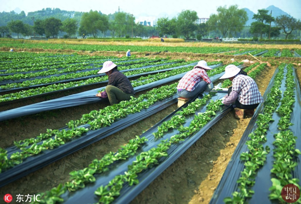 每日纪实精选：重庆一天桥现“空中公厕” 露天如厕不分男女