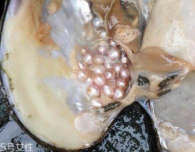 珍珠粉对皮肤有伤害吗 选对产品很关键 珍珠粉对皮肤有伤害吗 选对产品很关键