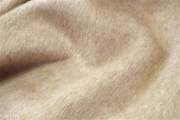 阿尔巴卡和羊绒哪个好 两者都很珍贵 阿尔巴卡和羊绒哪个好 两者都很珍贵