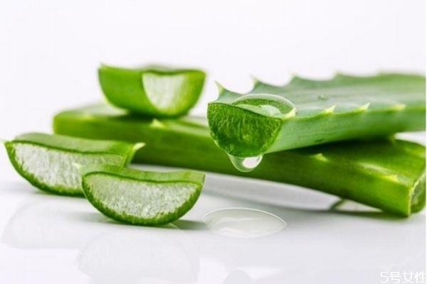 自己如何做皮肤灌肤 芦荟灌肤的基本操作 自己如何做皮肤灌肤 芦荟灌肤的基本操作