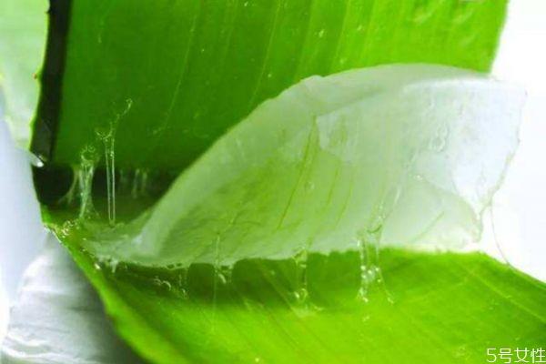 自己如何做皮肤灌肤 芦荟灌肤的基本操作 自己如何做皮肤灌肤 芦荟灌肤的基本操作