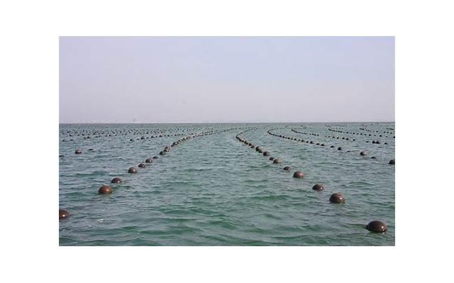 临时身份证几天能办好? 临时身份证几天能办好?