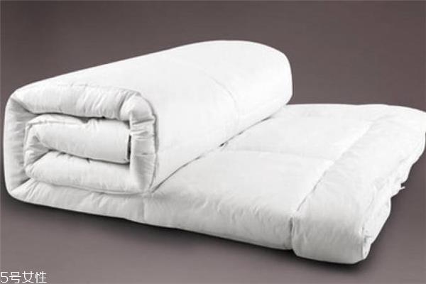 羊毛被有异味怎么去除 从此告别羊膻味