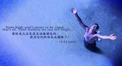 ​风雨哈佛路影评(当你认为最困难的时候，其实就是你最接近成功的时候)