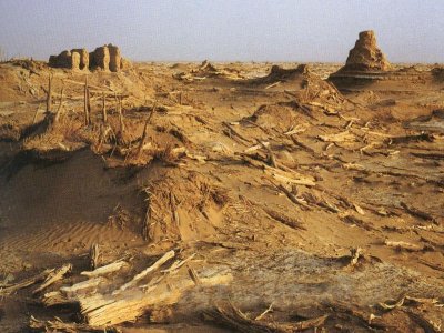 ​历史上真实的精绝古国