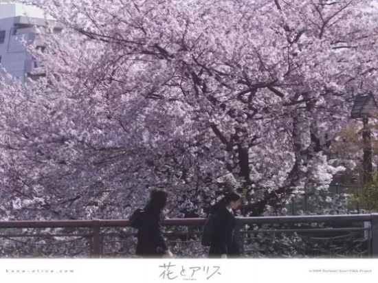 日本好看的喜剧片有哪些(十部值得一看的日本喜剧片推荐)